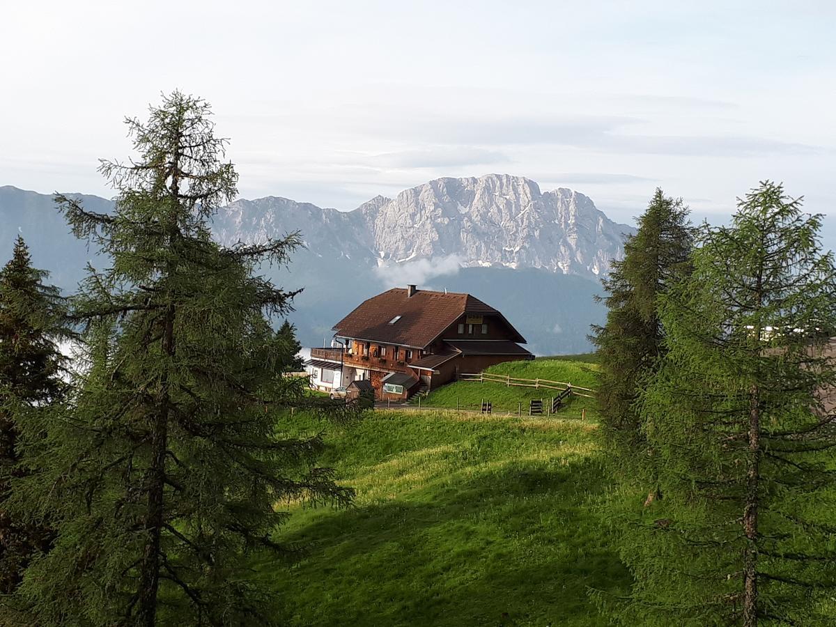 Ferienwohnung Drausport Greifenburg Dış mekan fotoğraf